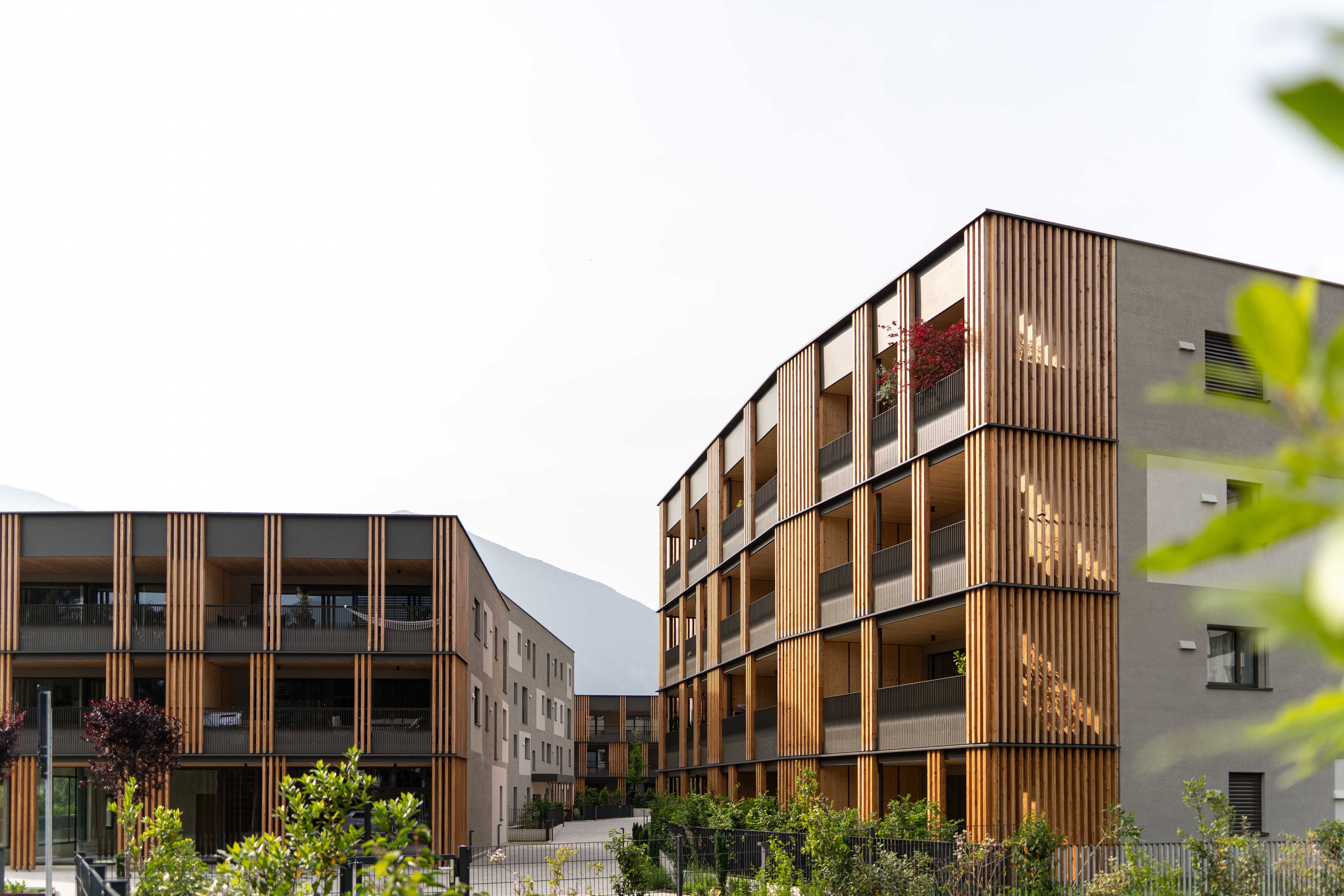 Mirjam Unterfrauner detail image 3